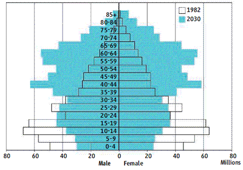 На рисунке в центре показана (контуром) структура возрастного распределения Китая в 1982 году, а на нее наложено распределение (голубым цветом), ожидаемое к 2030 году.
